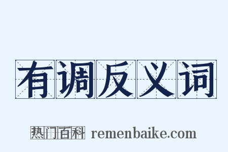 有调反义词是什么意思的图片